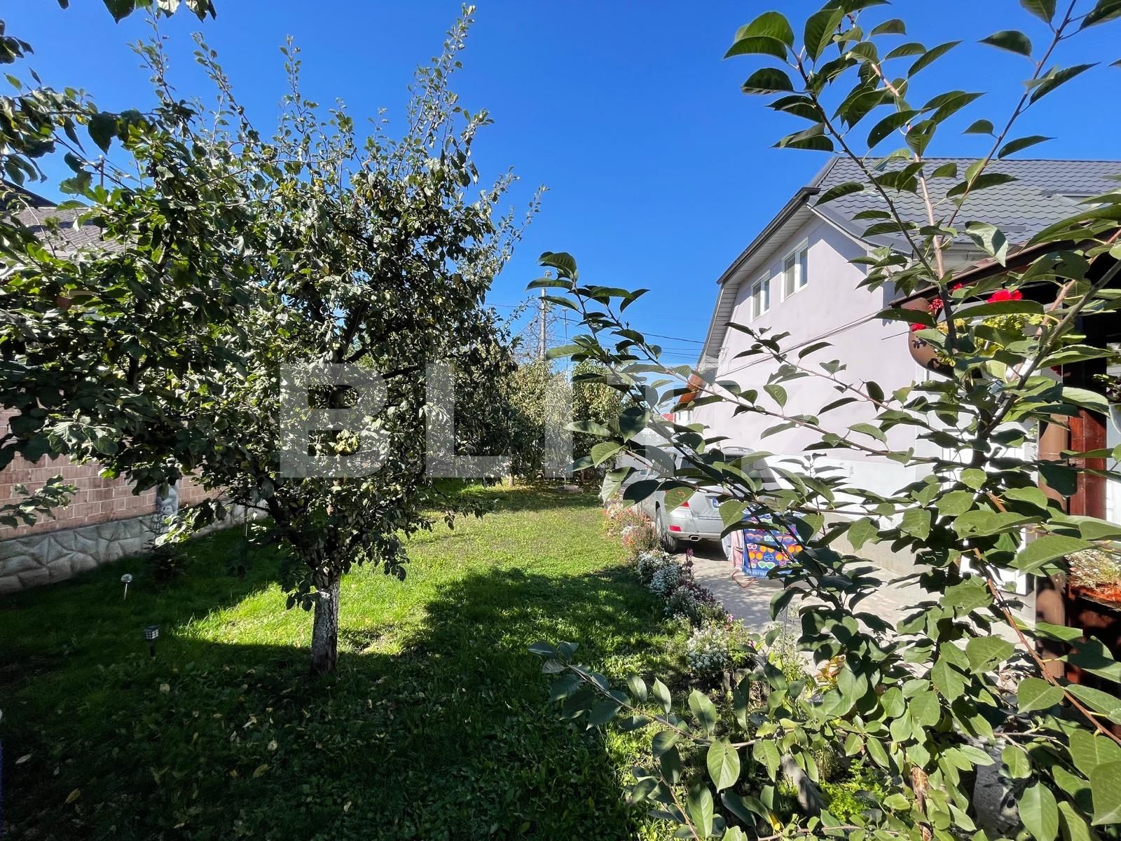 Casa de vânzare 6 camere Piata Armatei - 77456CV | BLITZ Târgu Mureș | Poza12