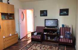 Apartament cu 2 camere, 52 mp, ideal pentru o familie sau investiții, zona Tudor