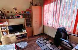 Apartament cu 2 camere, 52 mp, ideal pentru o familie sau investiții, zona Tudor