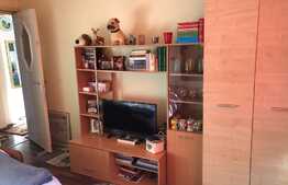 Apartament cu 2 camere, 52 mp, ideal pentru o familie sau investiții, zona Tudor