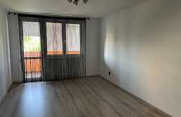 Oportunitate! Apartament de 2 camere, decomandat, 50 mp, zona Dâmbu