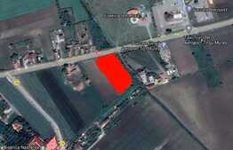 Teren intravilan de 5800 mp la drumul E60 langa Aeroportul Tg.Mures