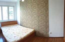 Apartament de închiriat de 2 camere în zona Dacia!