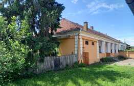 Casa boiereasca, 300 mp si 1890 mp teren, semicentral, in Ludus