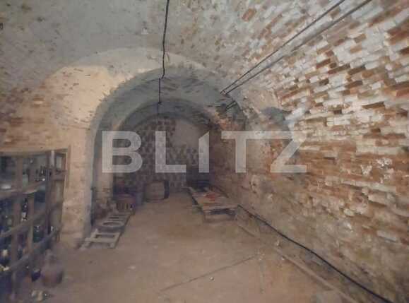 Casa de vânzare 5 camere Exterior Vest - 79254CV | BLITZ Târgu Mureș | Poza12