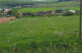 Teren Intravilan de 3.700 mp la iesire din Livezeni