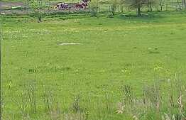 Teren Intravilan de 3.700 mp la iesire din Livezeni