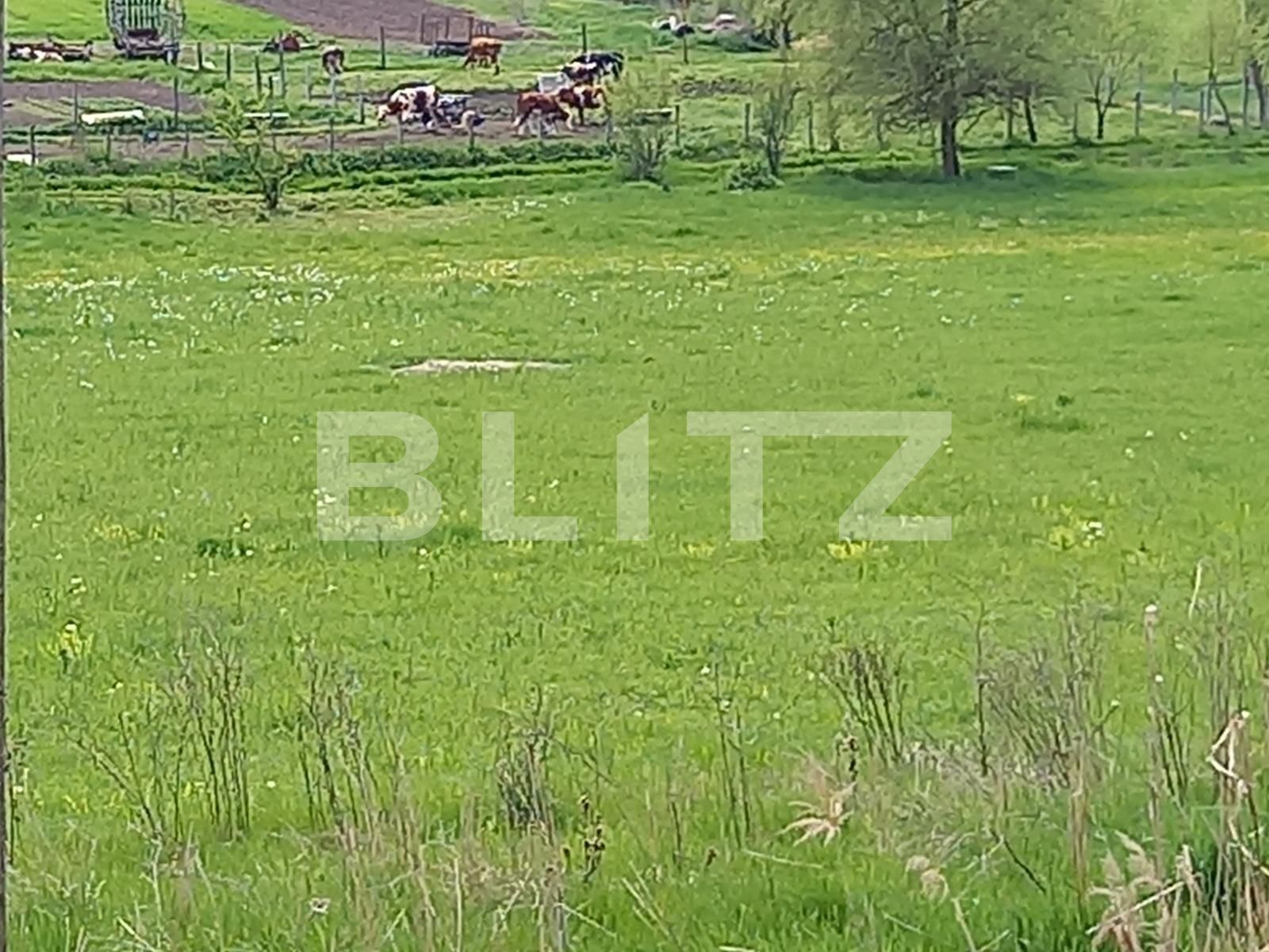 Teren de vânzare Livezeni - 79378TV | BLITZ Târgu Mureș | Poza2