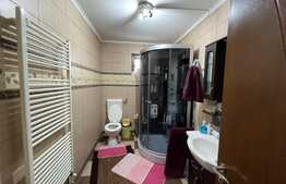 Casa de vânzare cu 5 camere, 1100 mp teren, Periș 