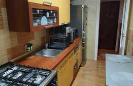 Oportunitate! Apartament de 2 camere, 54 mp, zona Gara Mare!