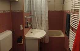 Oportunitate! Apartament de 2 camere, 54 mp, zona Gara Mare!