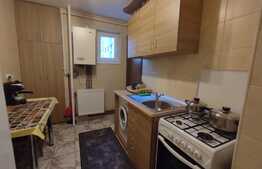 Apartament de 2 camere, semidecomandat, ideal pentru un cuplu, zona Mureșeni