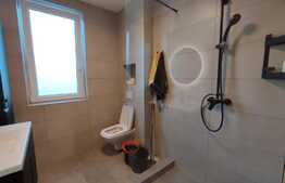 Apartament cu 2 camere, stil industrial, modern, decomandat, zona Unirii