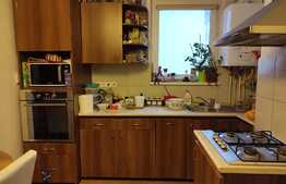 Apartament de 3 camere, decomandat, ideal pentru o familie, zona Tudor