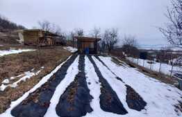 Casa gospodareasca in Chinari, la 10 Km de Targu Mures