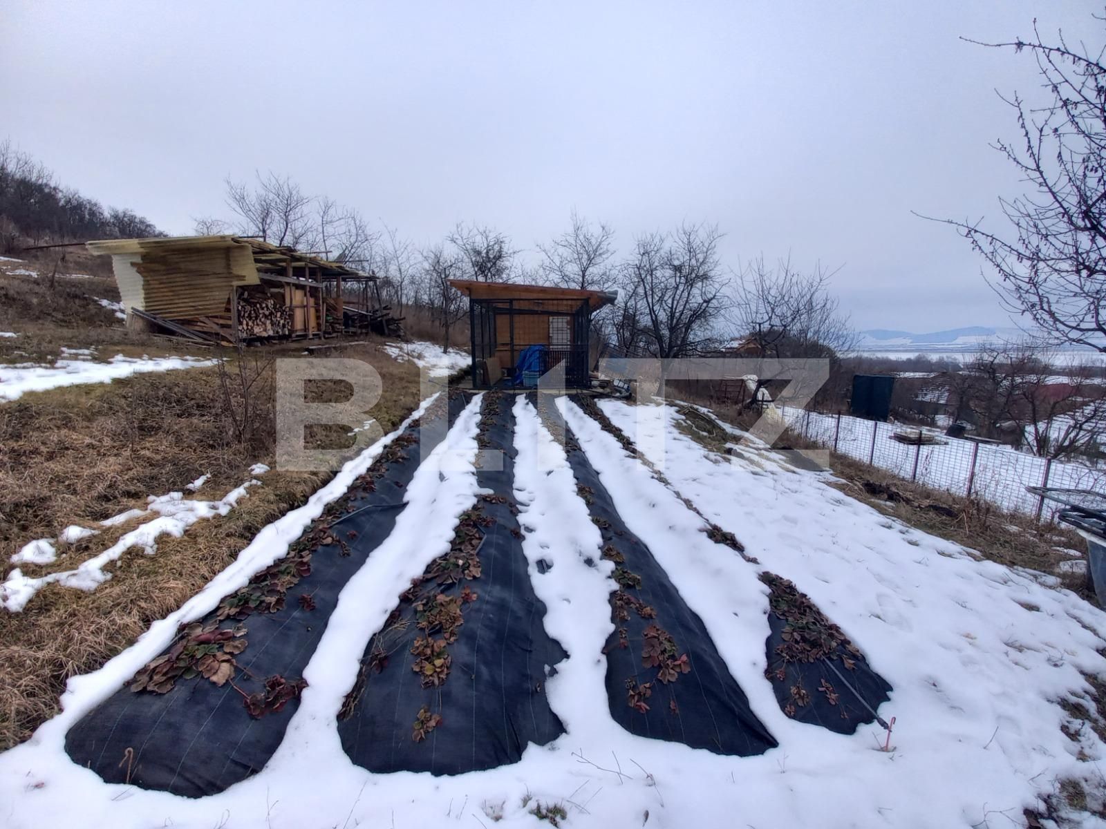 Casa de vânzare 5 camere Curteni - 80286CV | BLITZ Târgu Mureș | Poza11