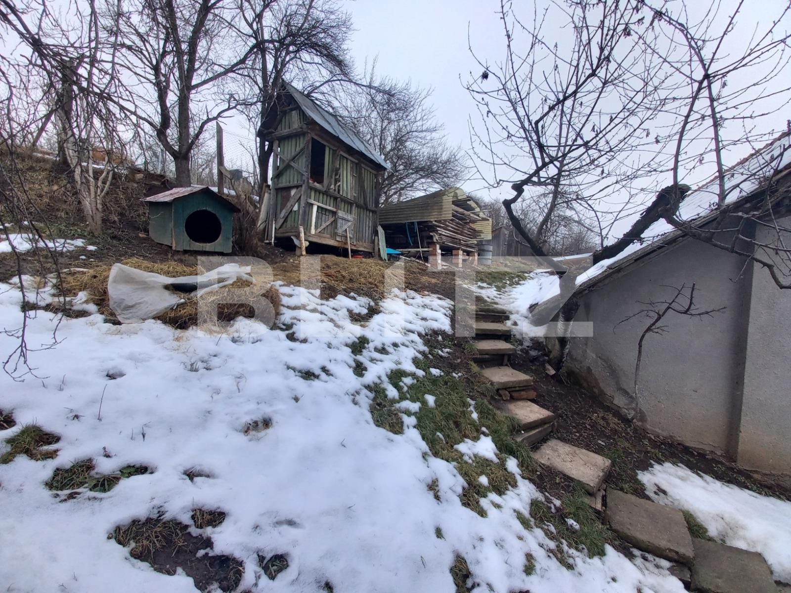 Casa de vânzare 5 camere Curteni - 80286CV | BLITZ Târgu Mureș | Poza10