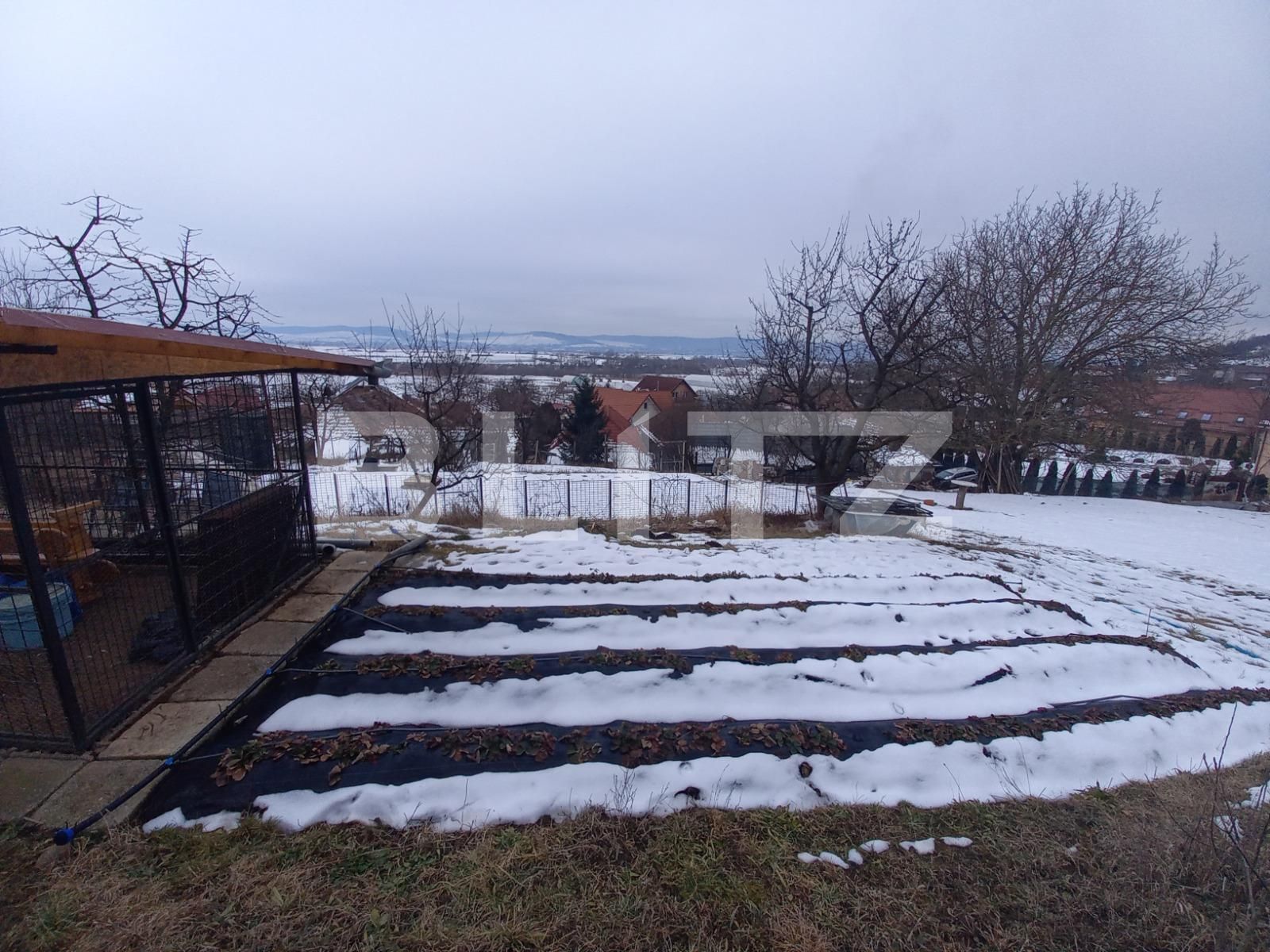 Casa de vânzare 5 camere Curteni - 80286CV | BLITZ Târgu Mureș | Poza12