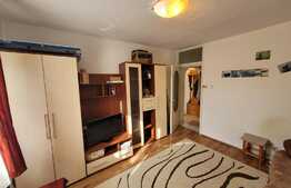 Garsoniera de 30 mp utili, etaj intermediar, luminos, zona Tudor!