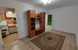 Apartament de 2 camere, semidecomandat, ideal pentru un cuplu, zona Dâmbu