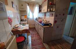 Apartament de 2 camere, 50 mp, ideal pentru investiții, zona Aleea Carpați