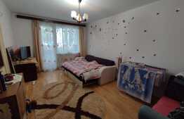 Apartament de 2 camere, 50 mp, ideal pentru investiții, zona Aleea Carpați