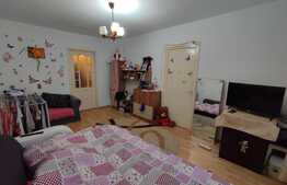 Apartament de 2 camere, 50 mp, ideal pentru investiții, zona Aleea Carpați