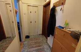 Apartament de 2 camere, 50 mp, ideal pentru investiții, zona Aleea Carpați