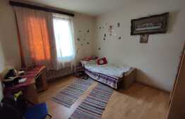 Apartament de 2 camere, 50 mp, ideal pentru investiții, zona Aleea Carpați