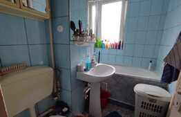 Apartament de 2 camere, 50 mp, ideal pentru investiții, zona Aleea Carpați