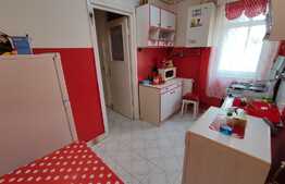 Apartament de 3 camere, 55 mp, ideal pentru o familie, zona Dâmbu