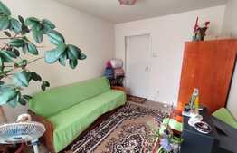 Apartament de 3 camere, 55 mp, ideal pentru o familie, zona Dâmbu