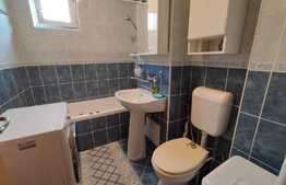 Apartament 2 camere, decomandat, ideal pentru un cuplu, zona Tudor