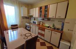 Apartament 2 camere, decomandat, ideal pentru un cuplu, zona Tudor