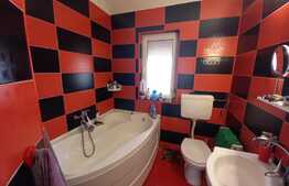 Duplex de 174 mp utili, 356 mp teren, in Santana 