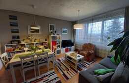 Duplex de 160 mp si teren de 386 mp, Sancraiul de Mures