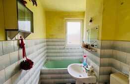 Investiție! Apartament de 2 camere, semidecomandat, Aleea Carpati