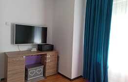 Apartament de 2 camere, decomandat, 45 mp, zona Tudor
