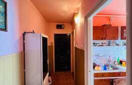 Apartament de 2 camere, decomandat, zona Tudor