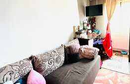Apartament de 3 camere, 45 mp, cartierul Mureseni