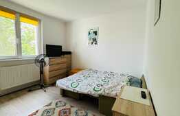 Apartament de 3 camere, decomandat, 66 mp, cartierul Dambu