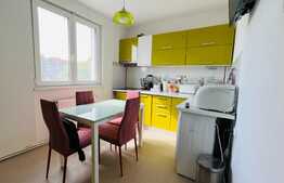 Apartament de 3 camere, decomandat, 66 mp, cartierul Dambu