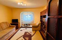 Apartament de 2 camere, decomandat, 45 mp, etaj intermediar, Dambu