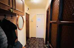 Apartament de 2 camere, decomandat, 45 mp, etaj intermediar, Dambu