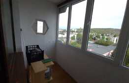 Apartament decomandat de 2 camere, 55 mp, zona Cartierul Dâmbu