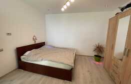 Casa de 2 camere, 92mp, cu teren 395mp