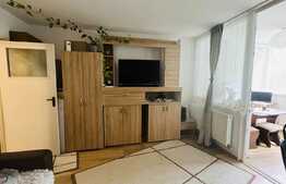 Garsoniera de 30 mp utili,zona Aleea Carpati!