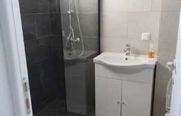 Apartament de 2 camere, semidecomandat, 57 mp, zona Aleea Carpati