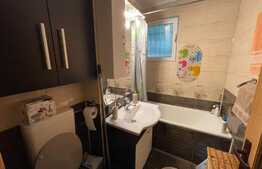 Apartament de 2 camere, 46 mp, Cornisa