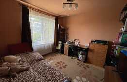 Apartament de 2 camere, decomandat, 56 mp, Tudor